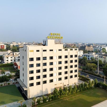Hotel Marigold Jaipur Ngoại thất bức ảnh